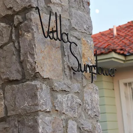Astonishing With Private Pool And Jacuzzi In Foca, Villa *